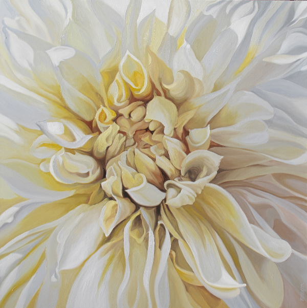 Acclimation Dahlia