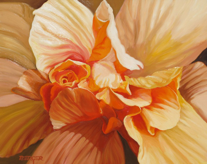 Begonia Whildfire