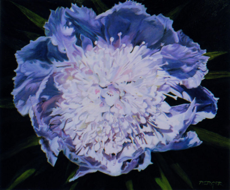 Galaxy Scabiosa