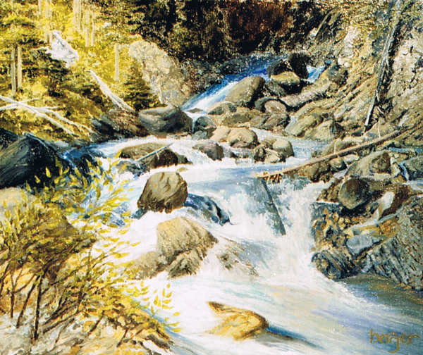 Mountain Stream