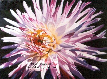 Fireworks Dahlia
