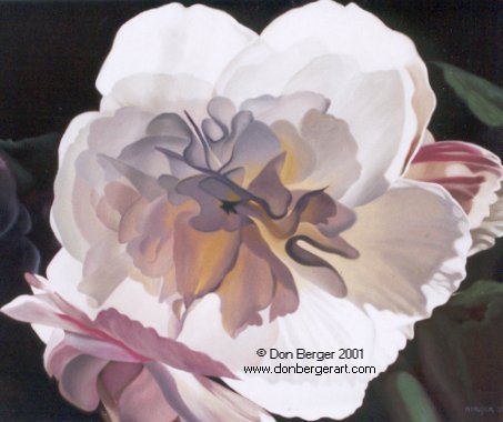 White Begonia