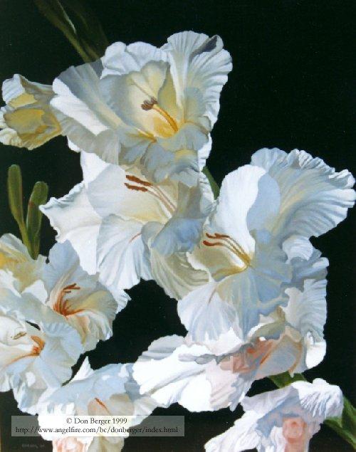 White Gladioli