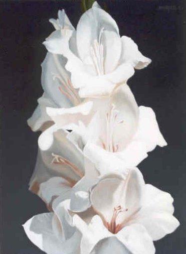 WHite Radiance